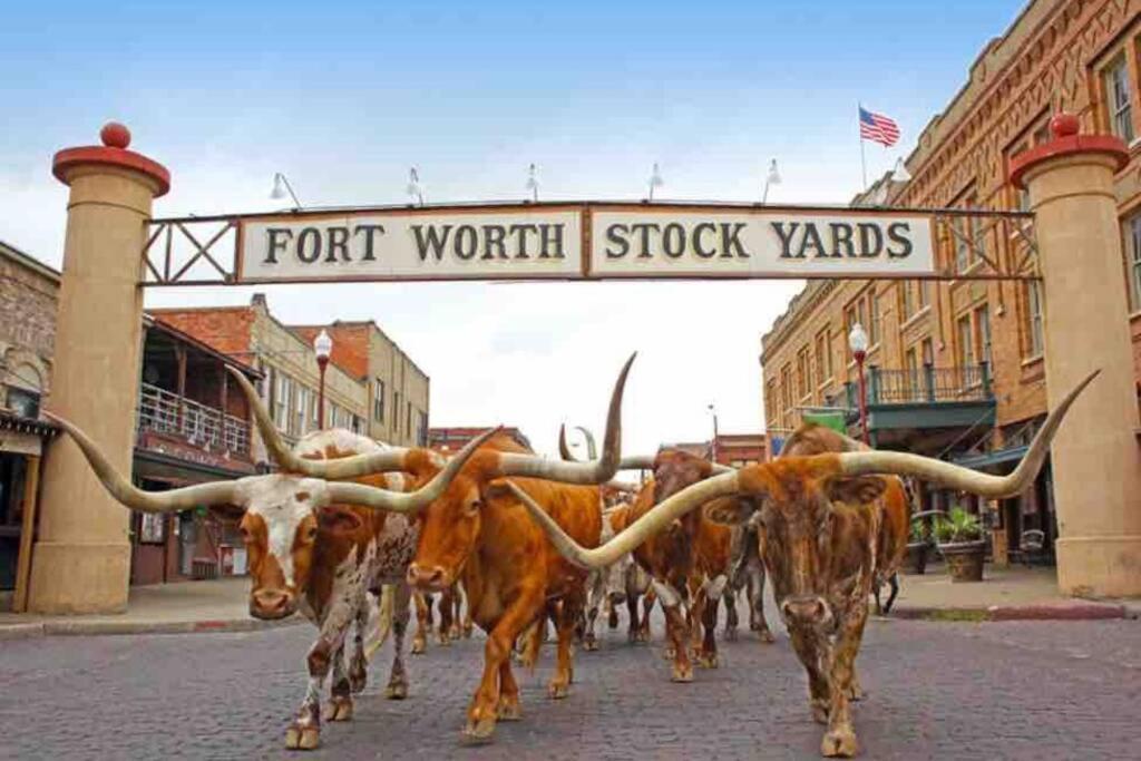 **Min Frm Dwntwn Fort Worth*Modern*Cozy*Townhome** Zewnętrze zdjęcie